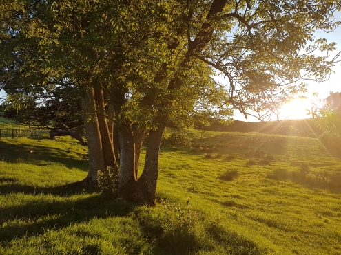 Sunset at Selden Farm Campsite in the South Downs National Park
