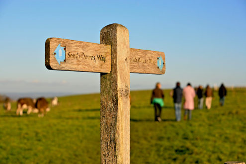 view of a sign pointing the direction of the south downs way