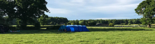 small tent pitch in a field at selden farm camping campsite